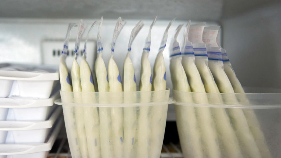 Cow's Milk vs Breast Milk: The Right Storage Temperature (And How Long Each One Actually Lasts)