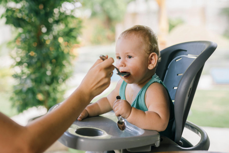 Can my baby eat this? A food safety guide new moms trust