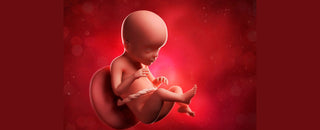 The Magical Journey of Pregnancy: Month-by-Month Baby Development