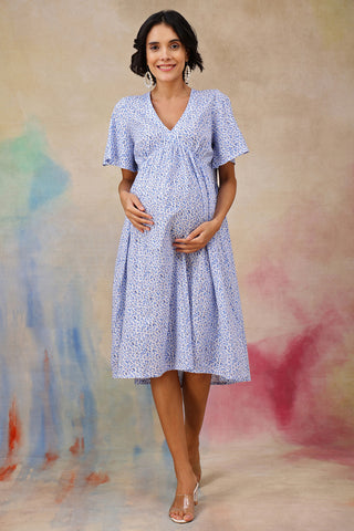 https://houseofzelena.com/collections/maternity-dresses/products/anya-feminine-splatter-printed-dress-in-flowy-textured-cotton-cambric