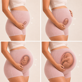 Pregnancy Panty – Over-the-Belly (Rib Textured) - Mist