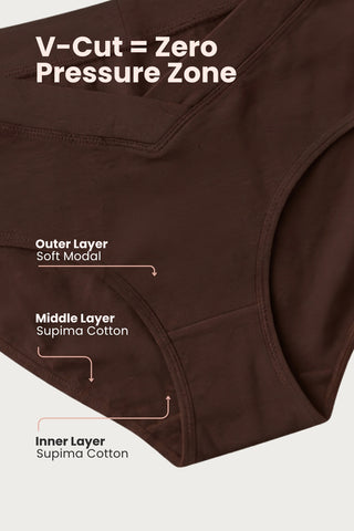 Modal C-Section Panty - (Pack of 4) (Brown, Dark Skin, Coco & Sage Green)