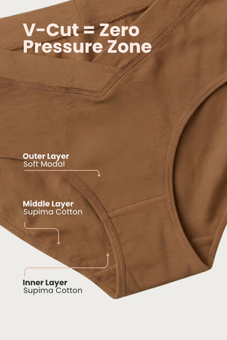 Modal C-Section Panty - (Pack Of 4) (Wine, Teal, Skin & Dusk)