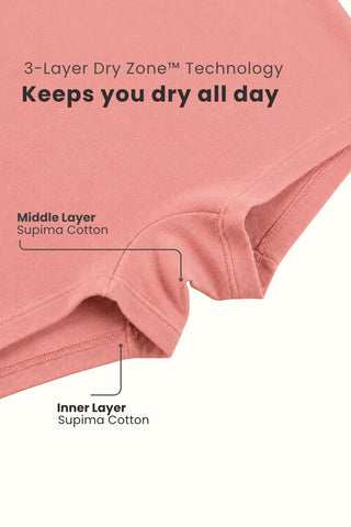 Pregnancy Cotton Panty (Pack of 3) (Skin, Rose Gold & Black)